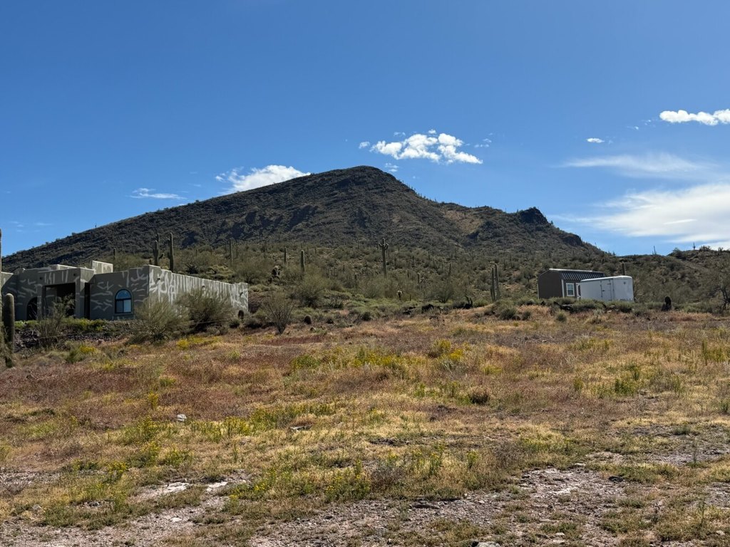 Picture 6