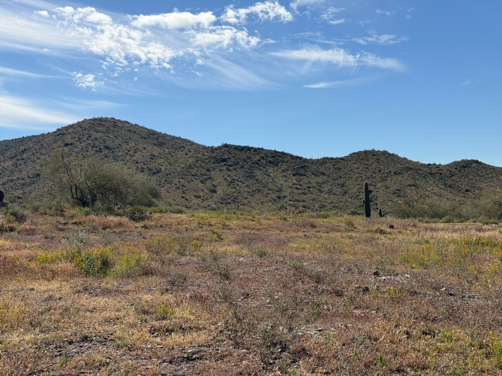 Picture 13