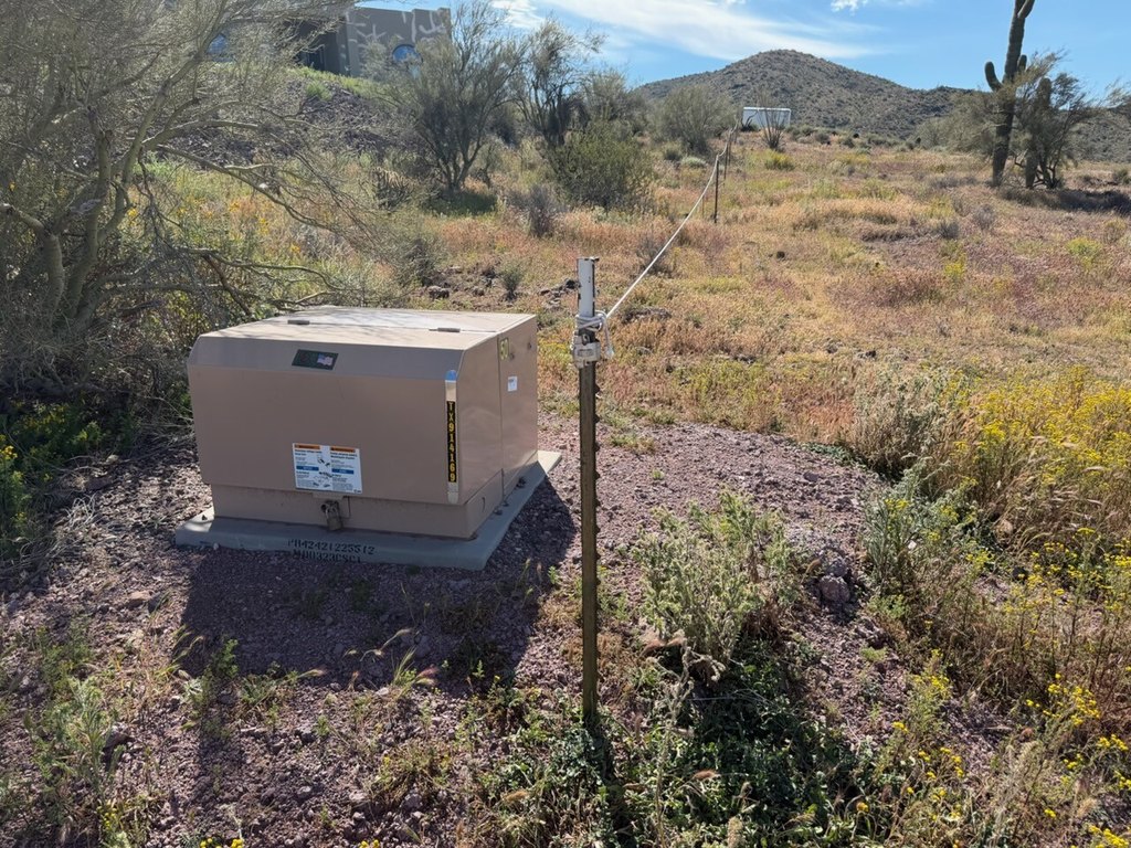 Picture 21