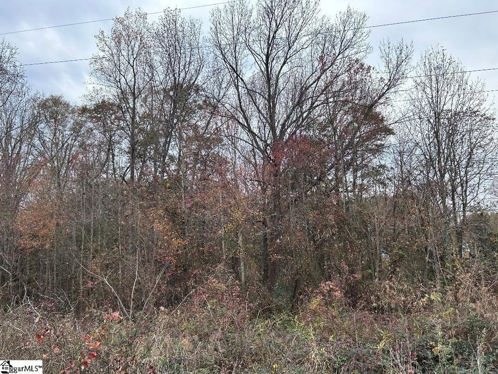 Picture 19