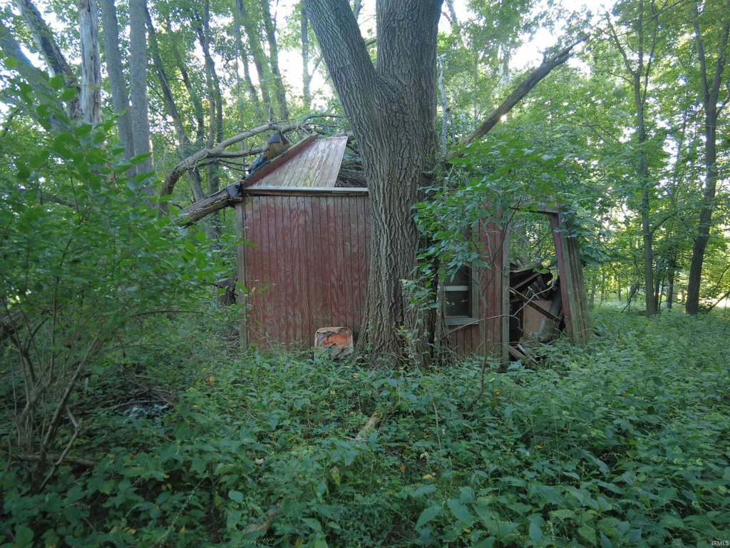 Picture 8