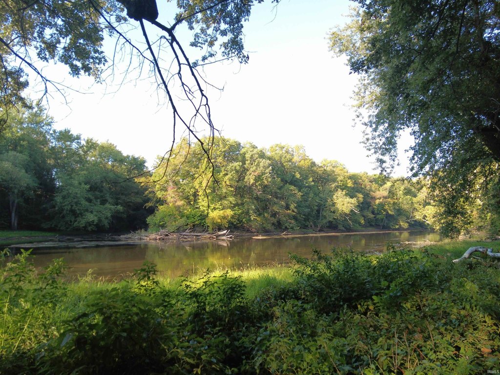 Picture 5