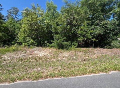LAND - OCALA, FL