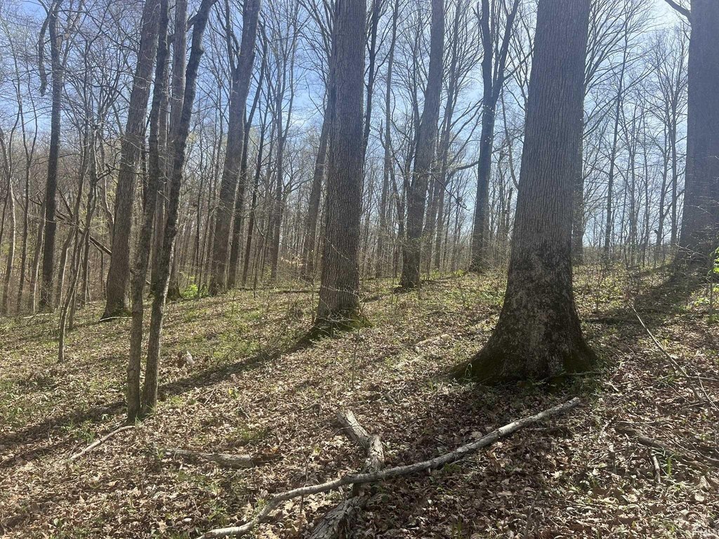 Picture 13