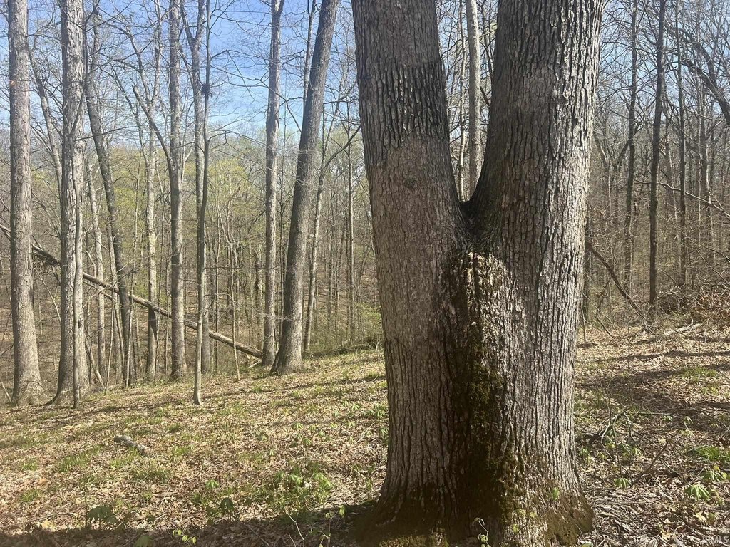Picture 17