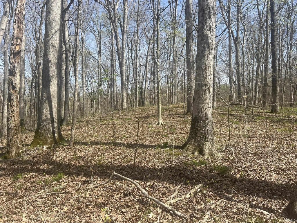 Picture 8