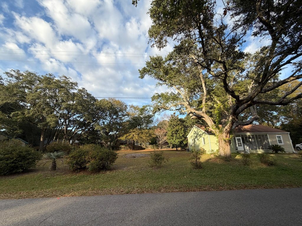 Picture 4