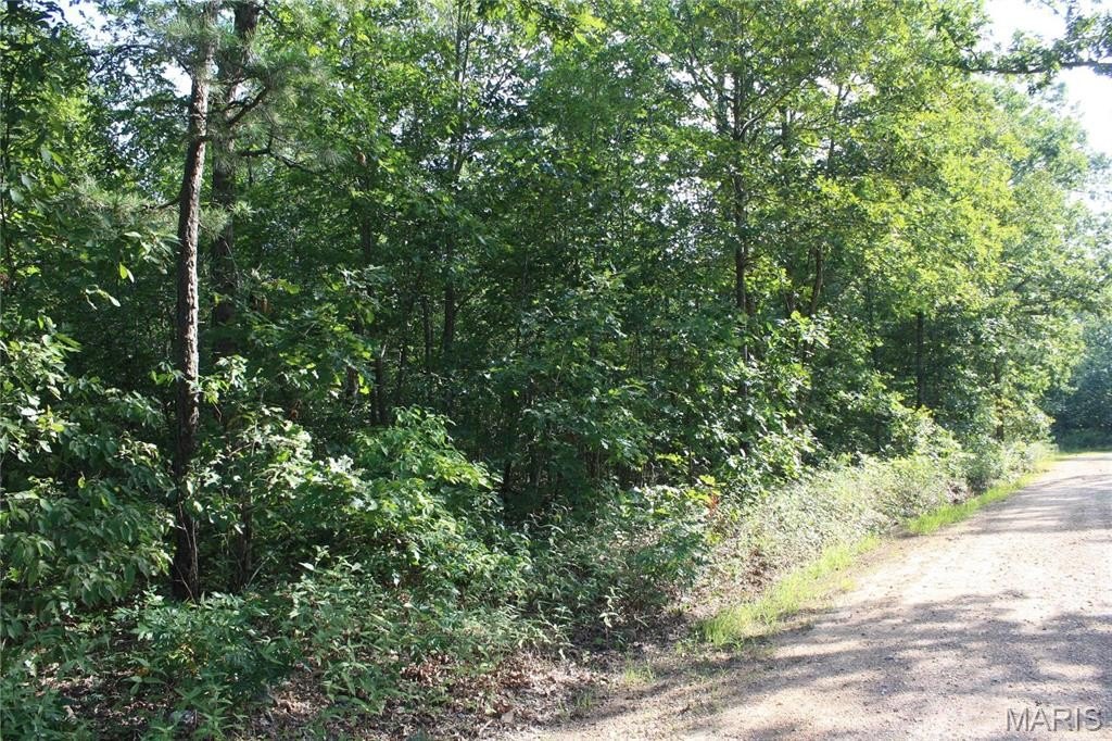 54.98 Acre Hunting/Recreational Lease
