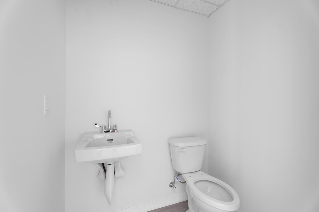 Picture 12