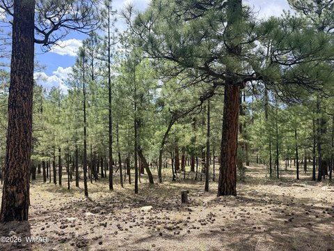 LAND - Happy Jack, AZ
