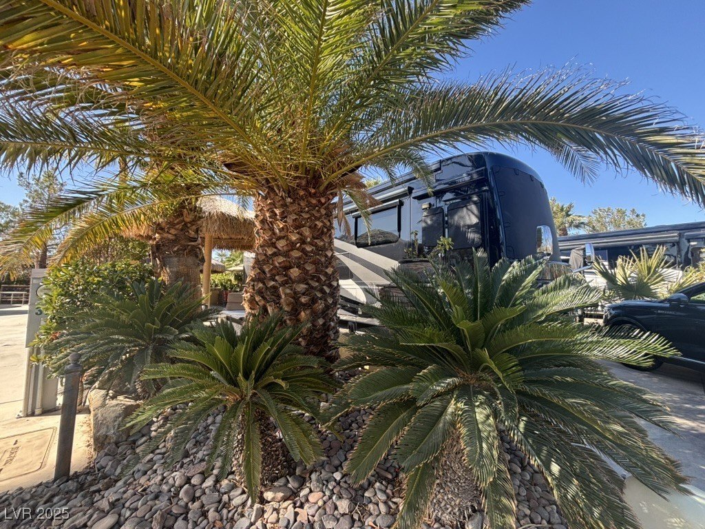 Picture 20