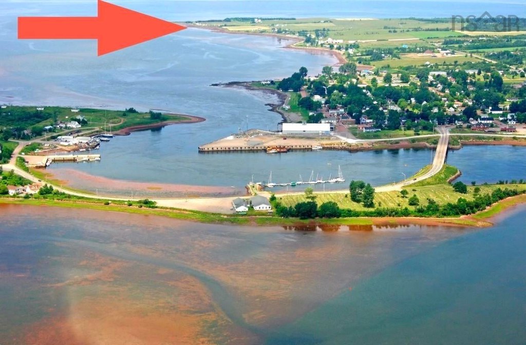 Picture 3