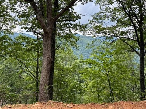 Secluded Mountain View Land Parcel