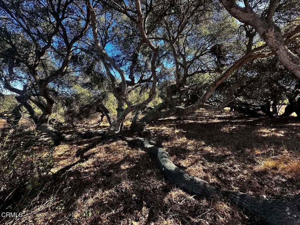 Picture 27