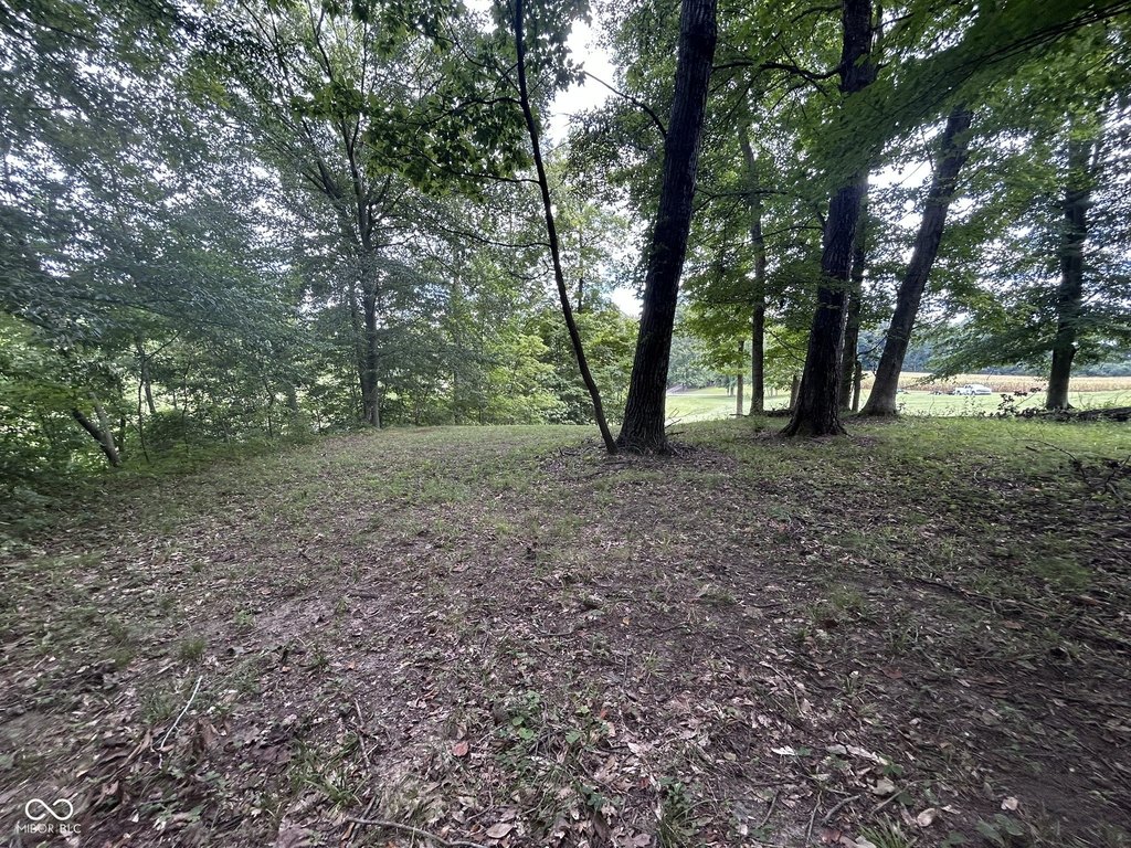 Picture 11