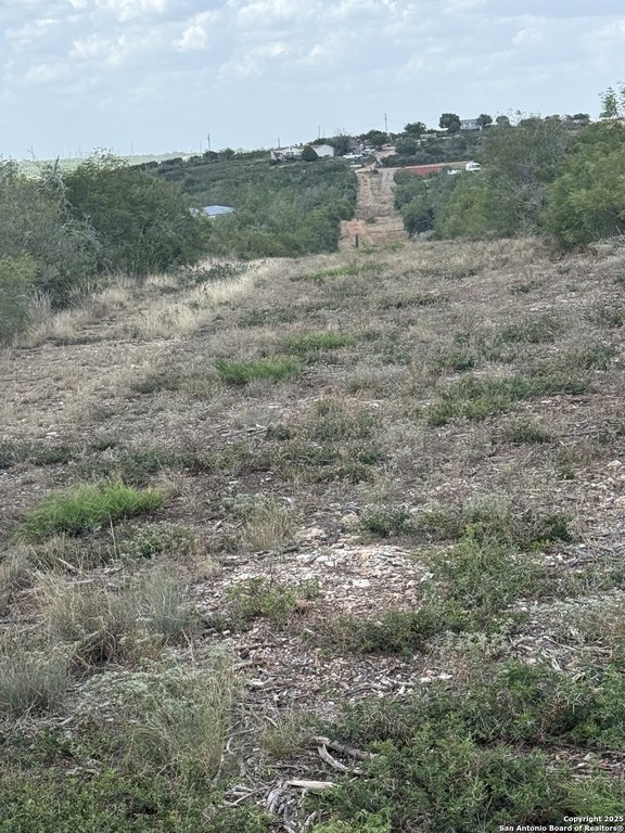 Picture 6
