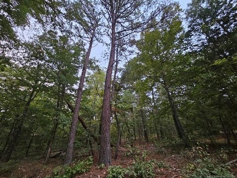 20 Acres in Cherokee County