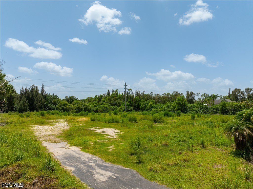Picture 2