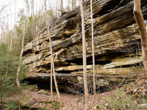 Land in Red River Gorge