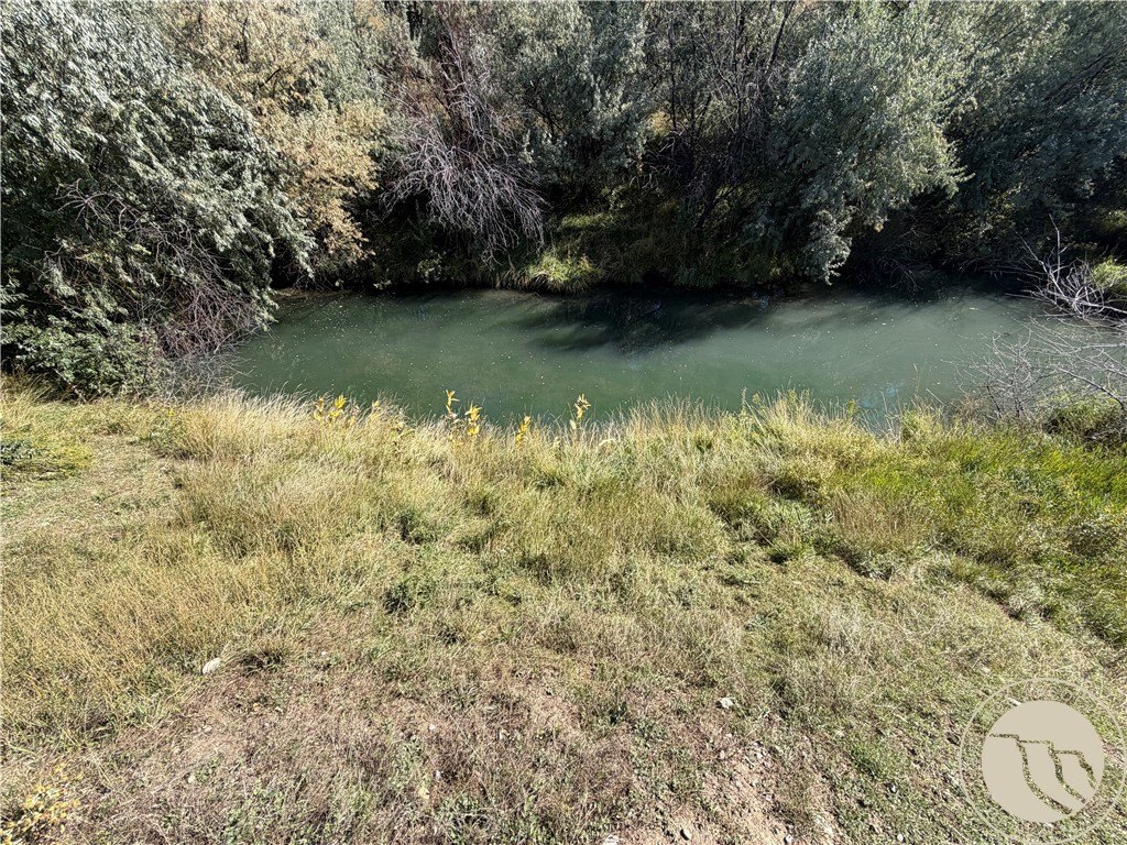Picture 31