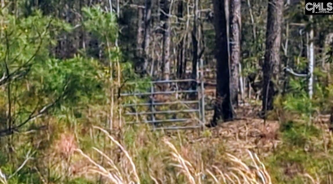Winnsboro Acreage with Development Potential