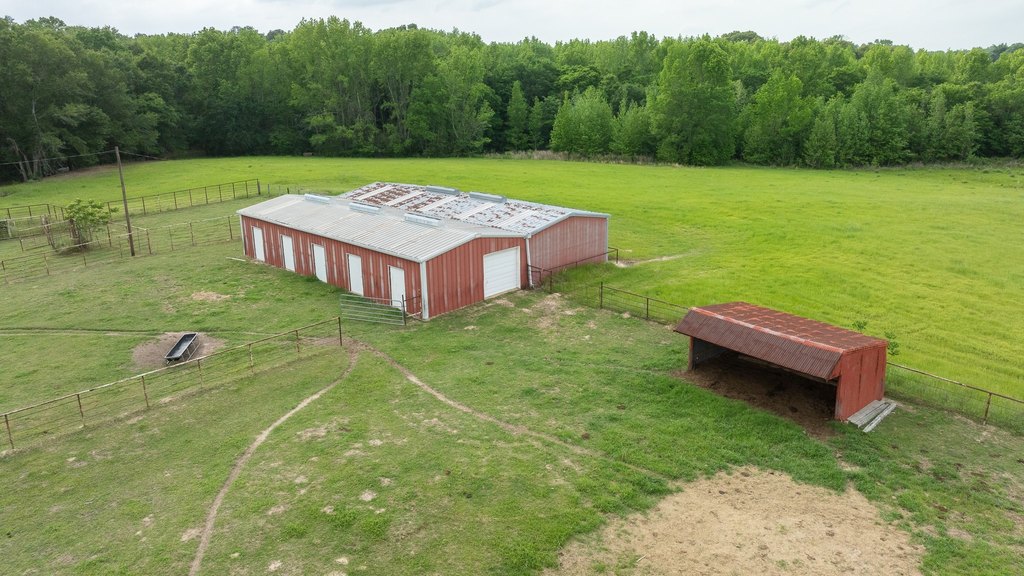 Picture 10