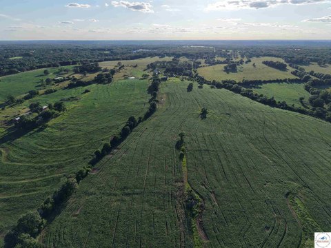 Productive Cropland and Pasture Farm