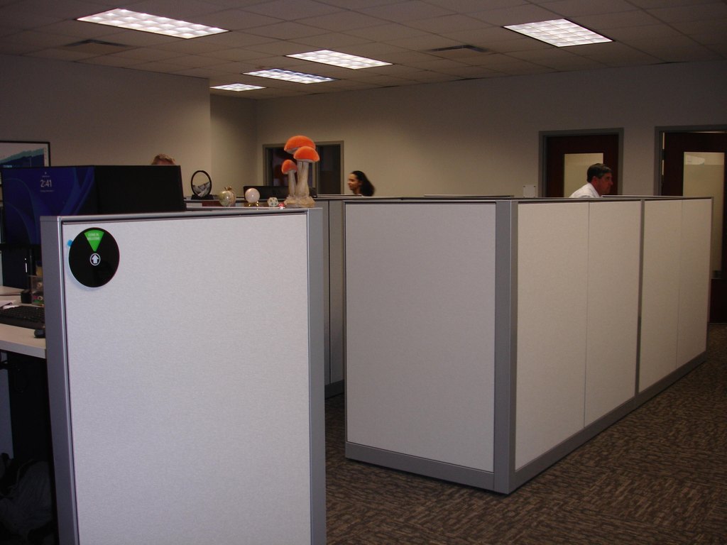 Picture 11