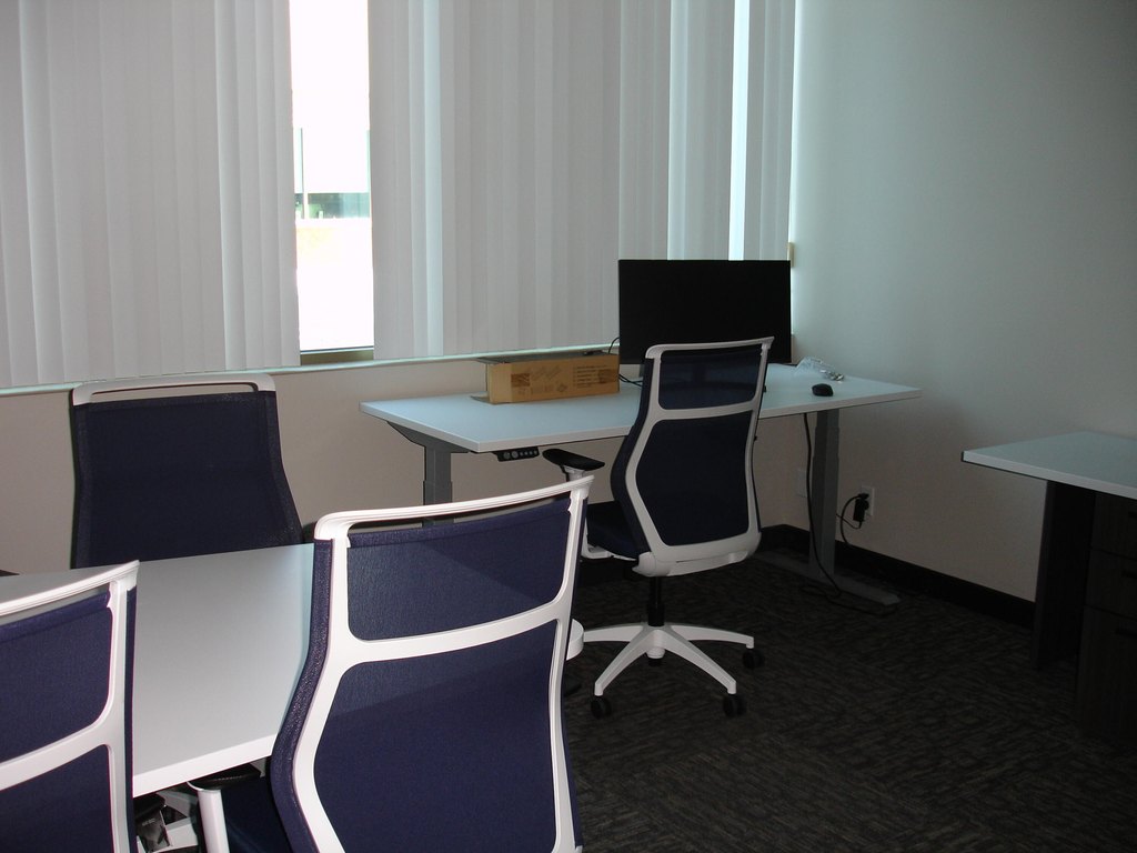 Picture 8