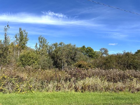 Land, New Era, MI