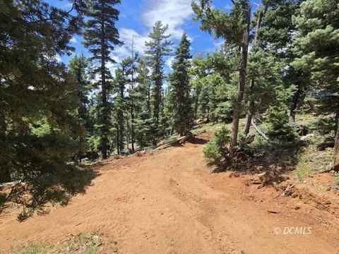 Single Family Lot, Duck Creek Village, UT