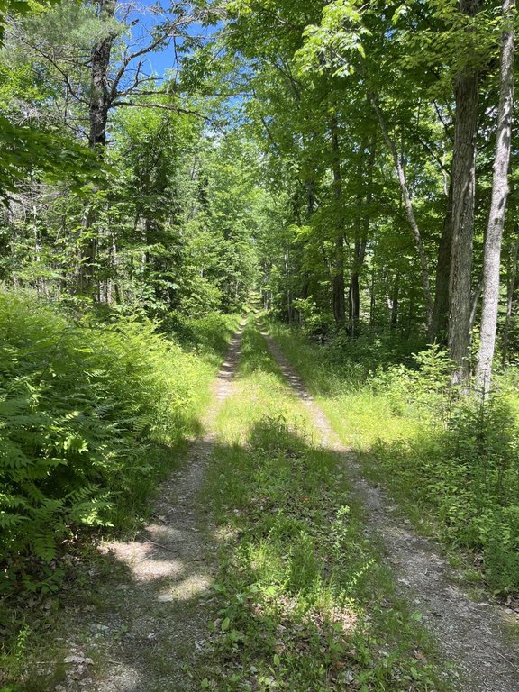Picture 3