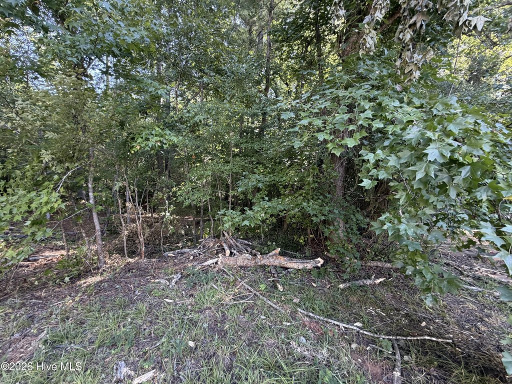 Picture 17