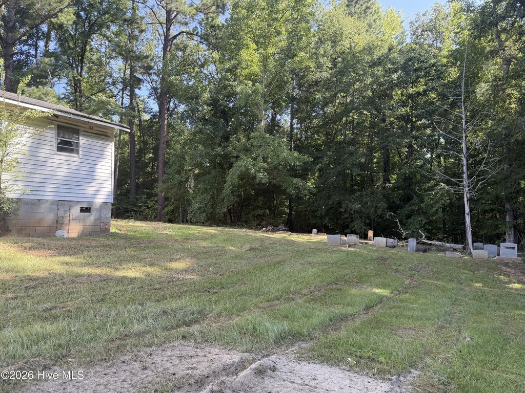 Picture 26
