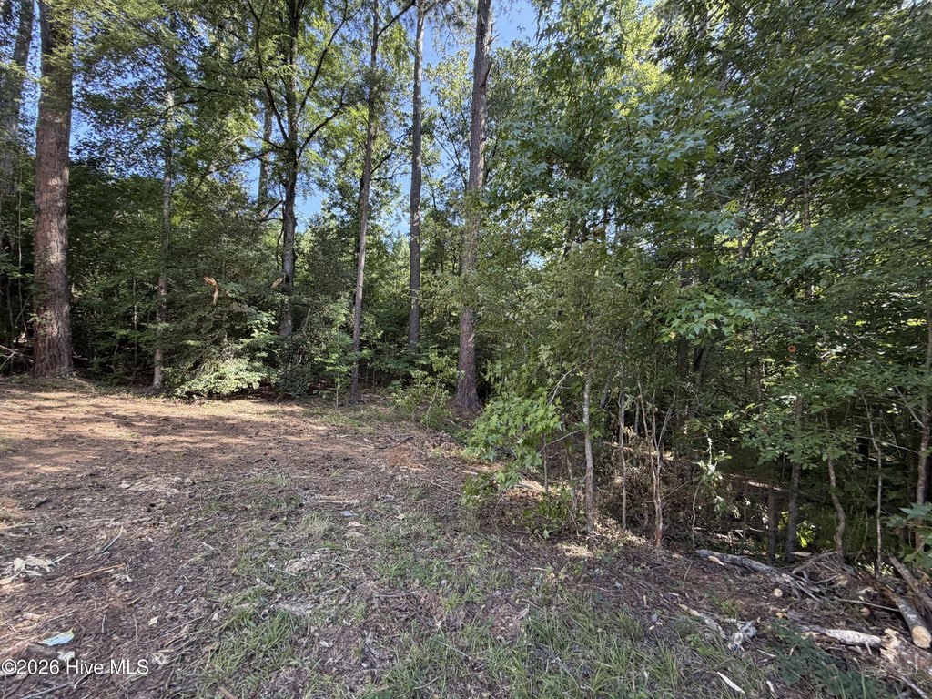 Picture 18
