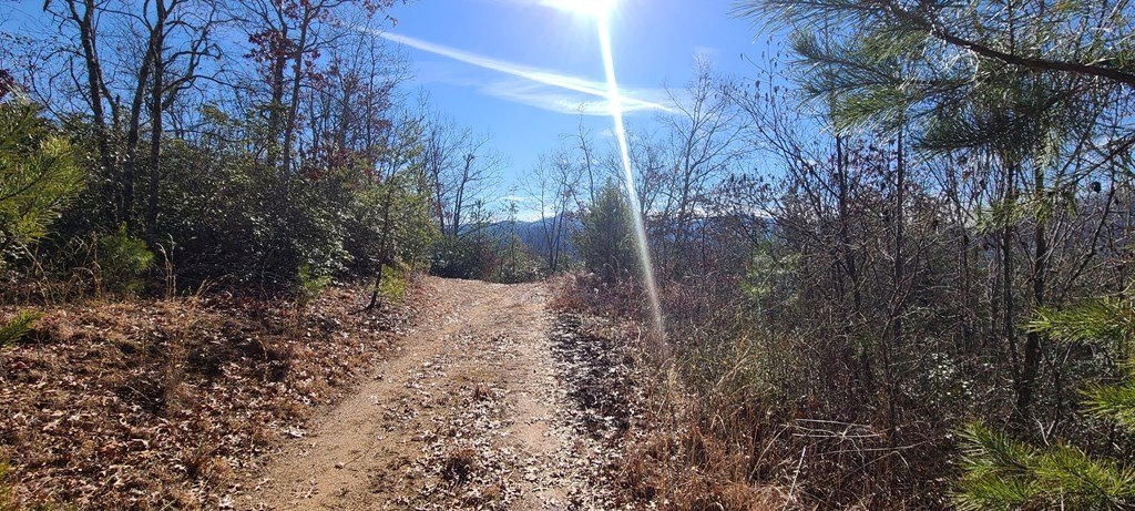 Picture 14