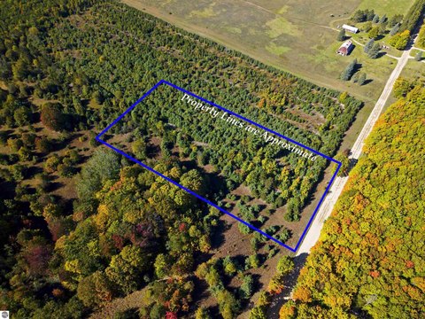 Vacant Lot/Land, Fife Lake, MI