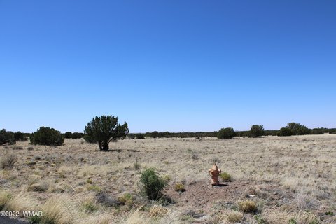 Residential Land in Show Low