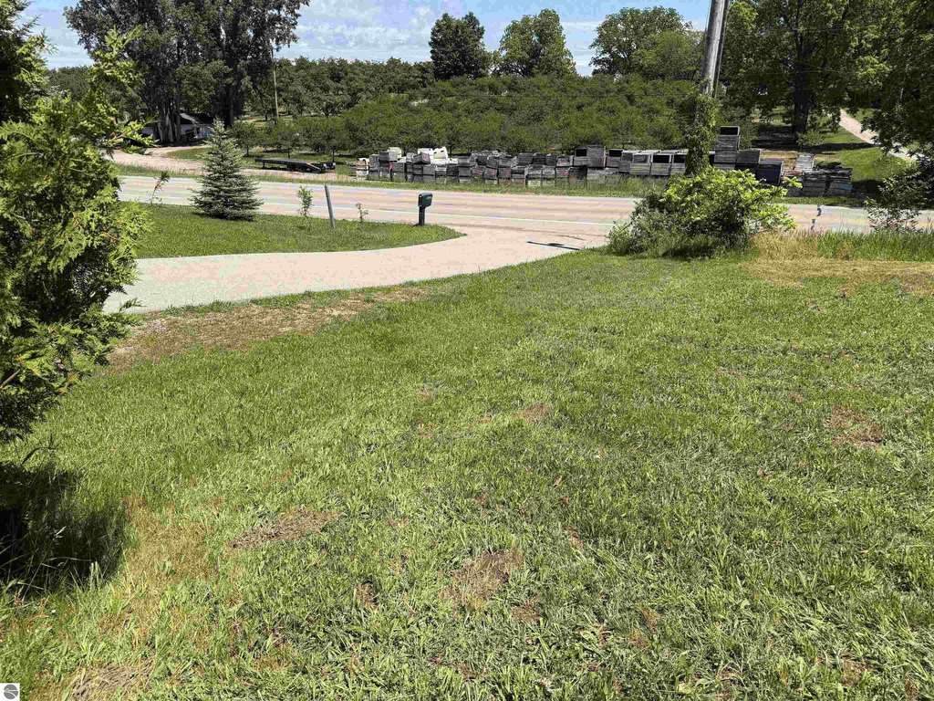 Picture 18