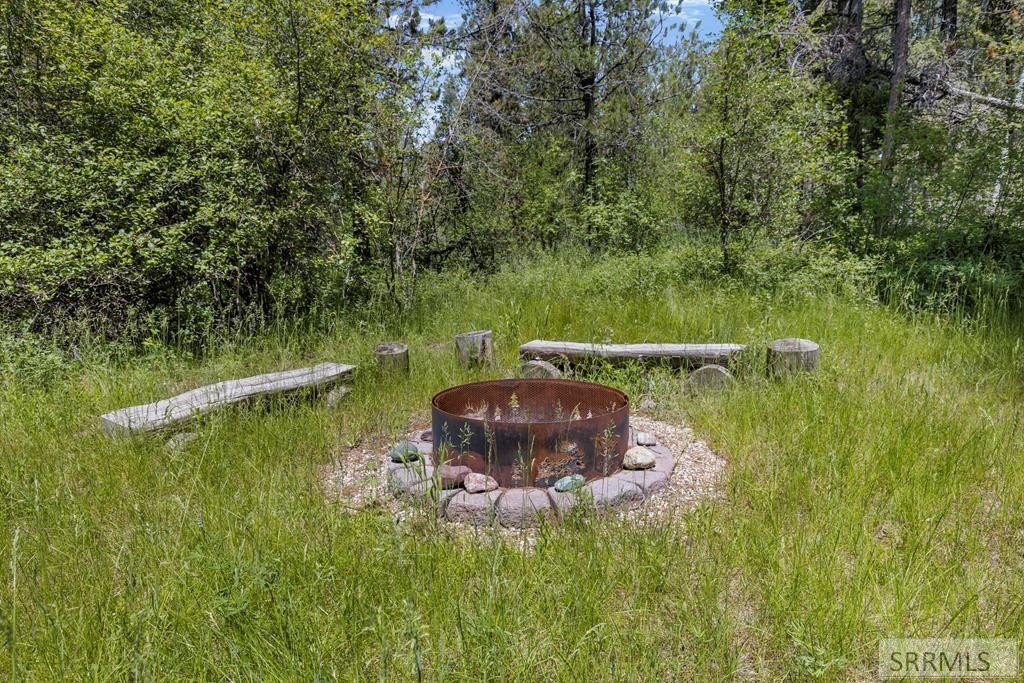 Picture 14