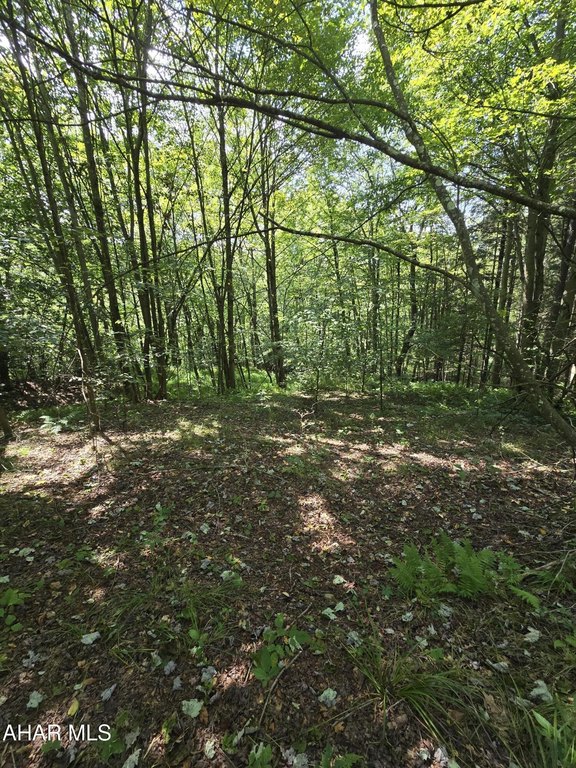 Picture 5