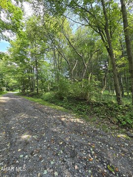 Land, Lilly, PA