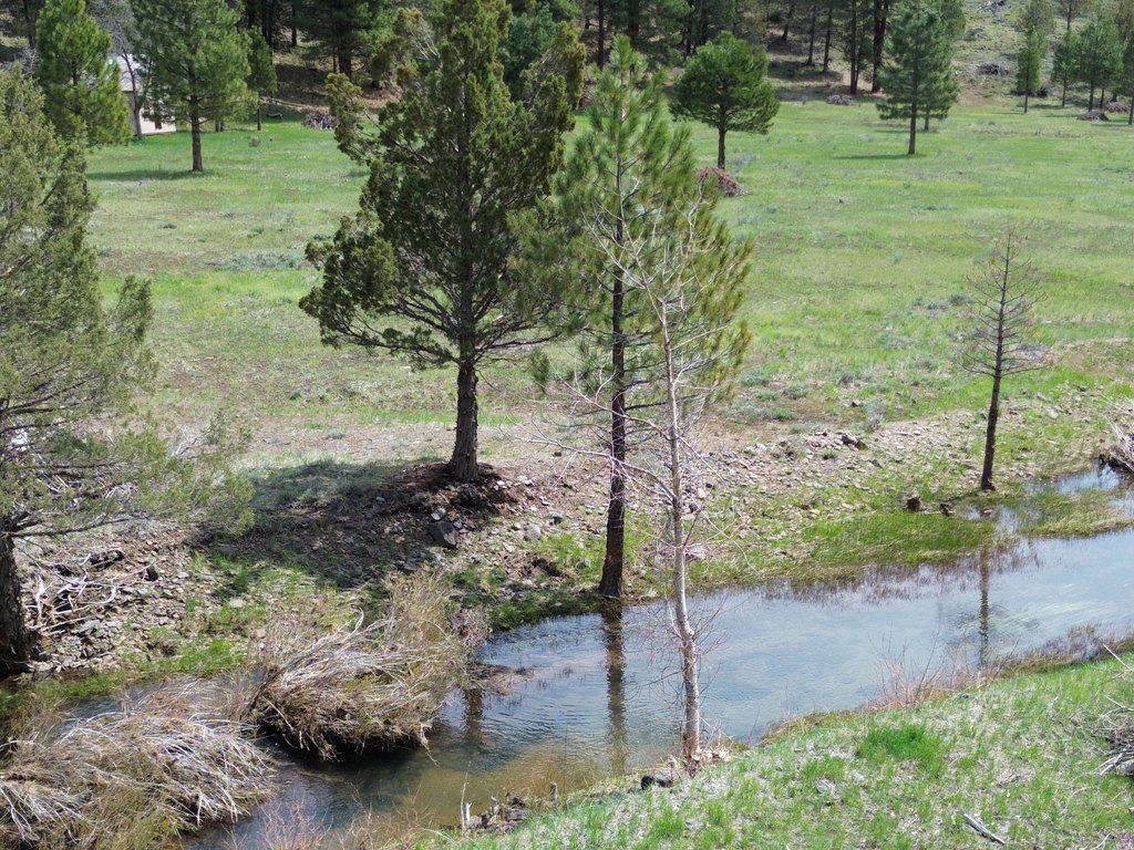 Picture 11