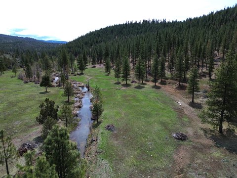 Mountain Ranch Land with Creek