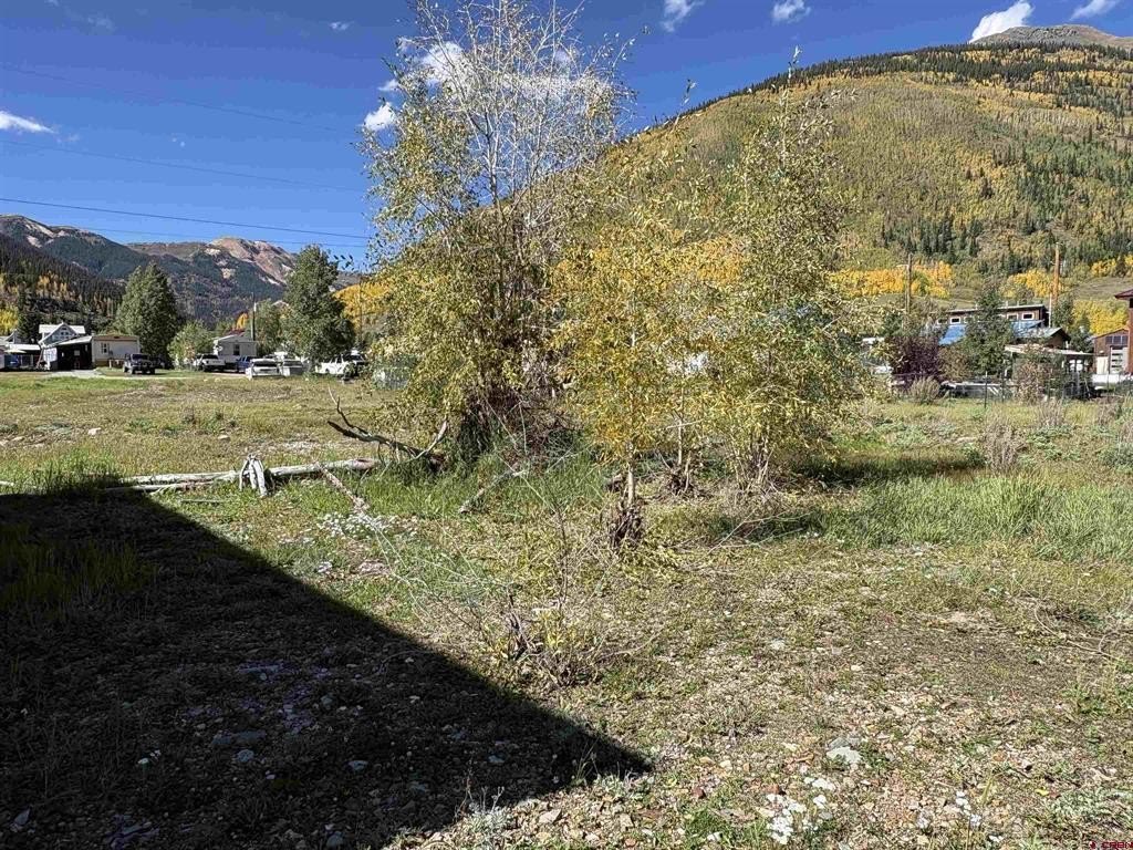Picture 4