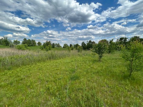 Land, Comstock Park, MI