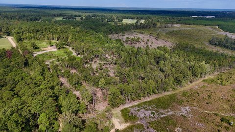 Land, Leakesville, MS