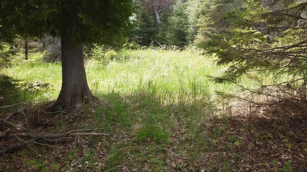Picture 9