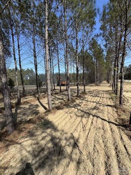 LAND - Pace, FL