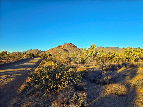 Yucca, AZ 39.91 Acre Land